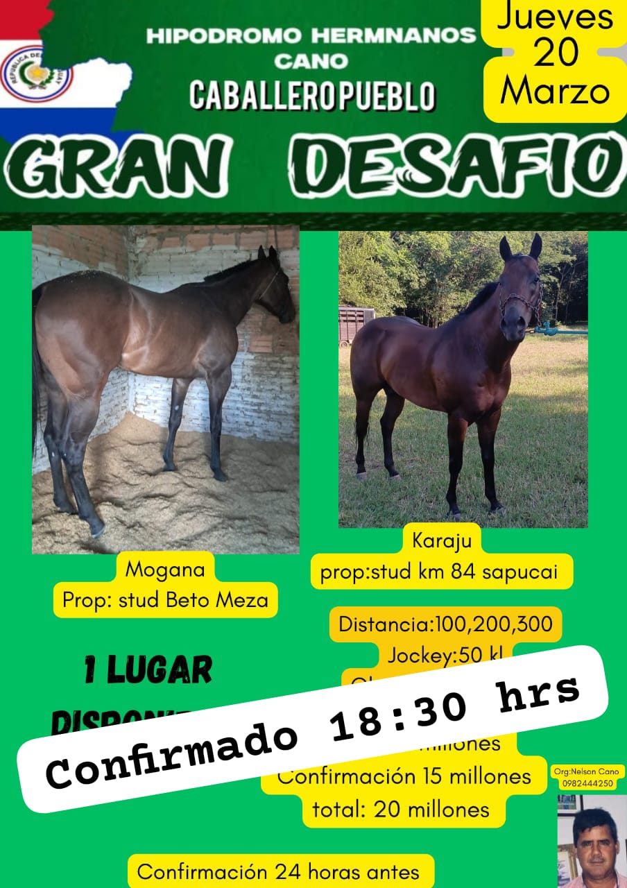 WhatsApp Image 2025-03-19 at 19.19.18