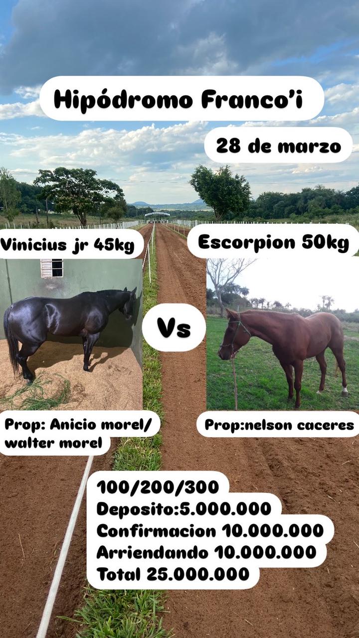 WhatsApp Image 2025-03-27 at 14.47.22