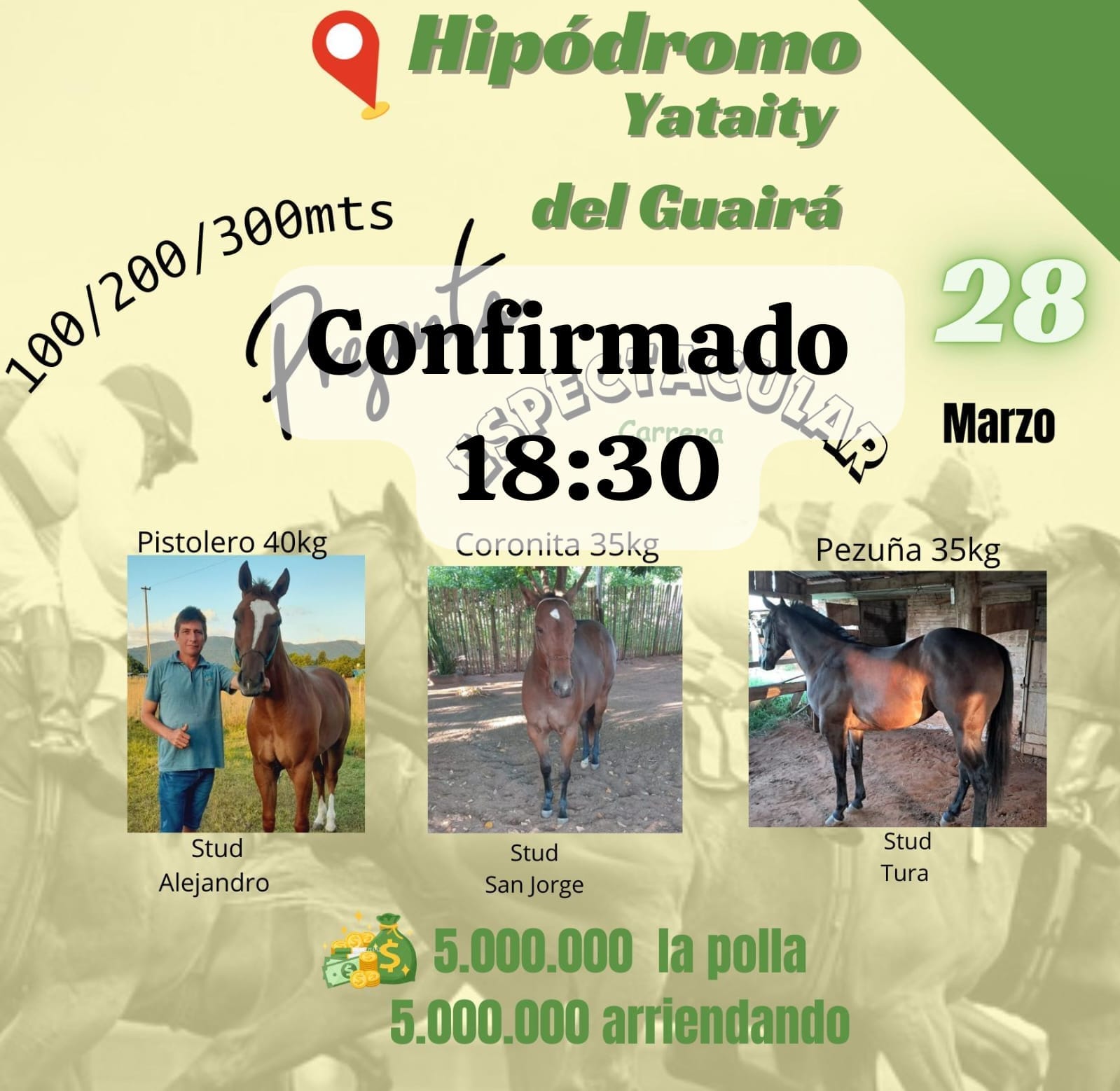 WhatsApp Image 2025-03-27 at 18.36.58 (1)