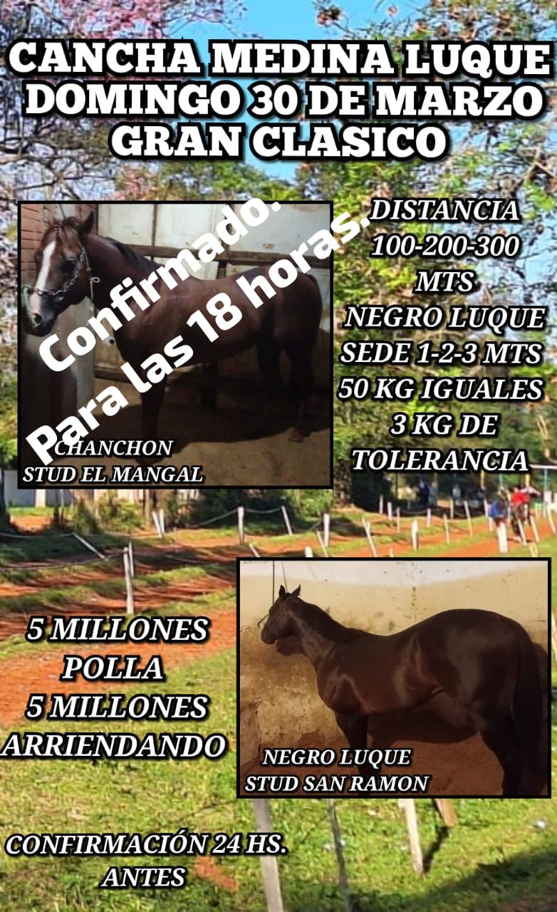 WhatsApp Image 2025-03-31 at 09.15.08