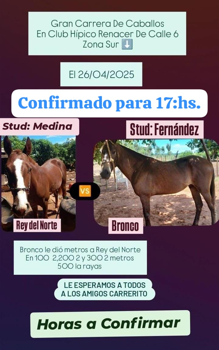 Desafio - Rey del Norte vs Bronco