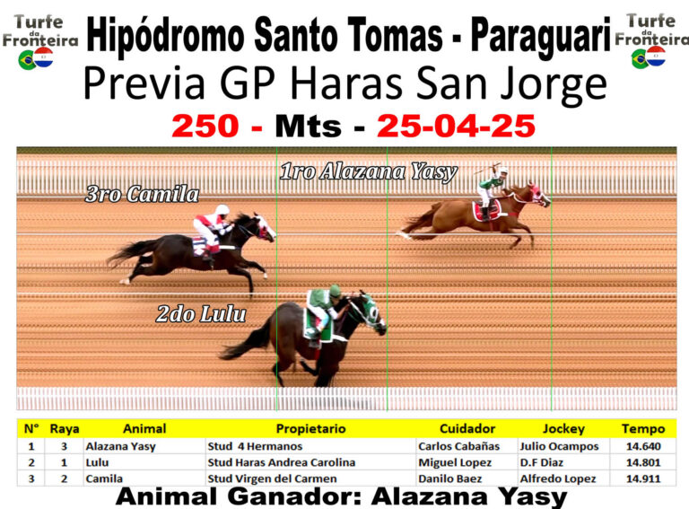 Fotochart - 250 metros - Alazana Yasy