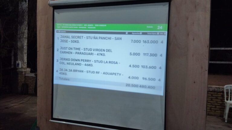 Total Jugado Penca de 4