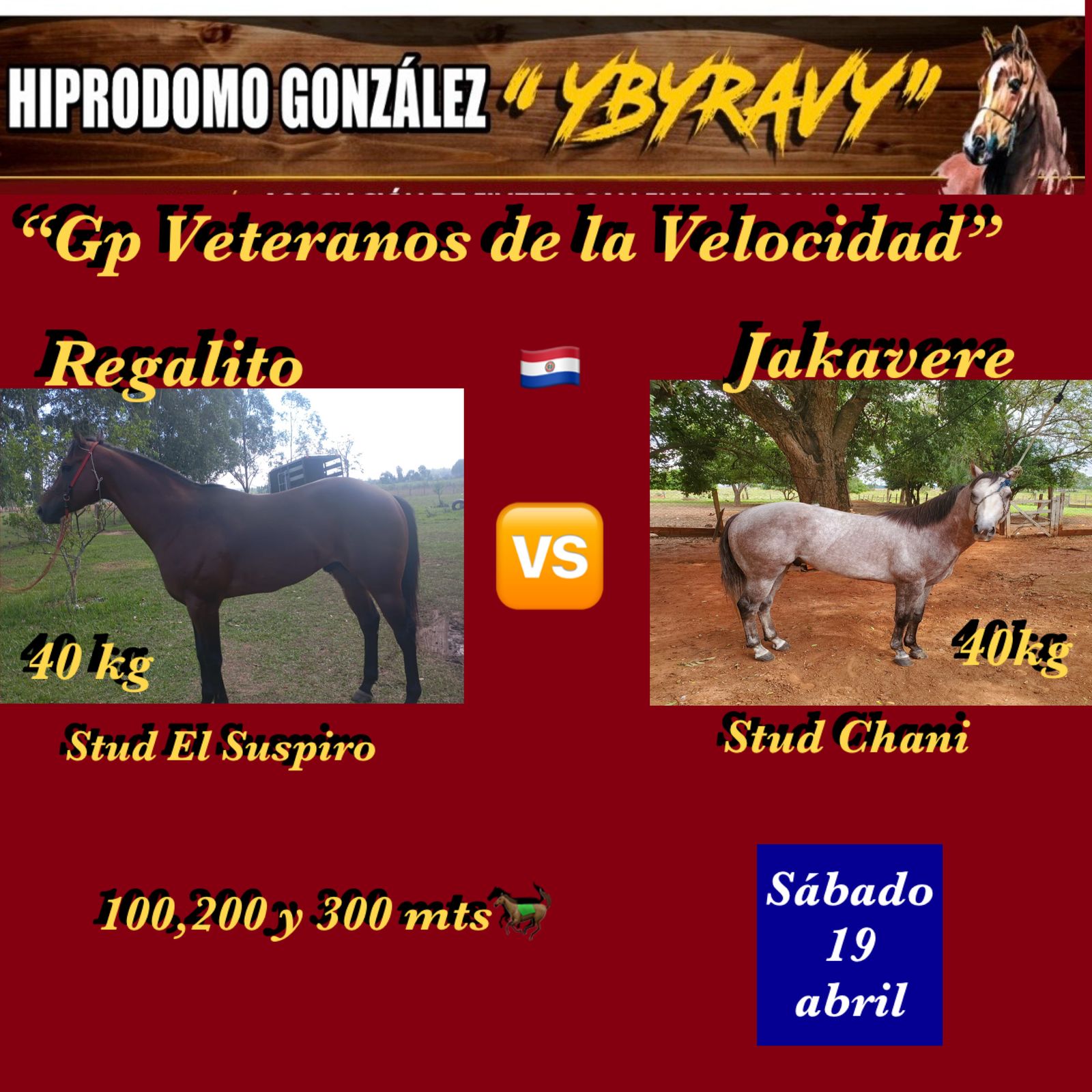 WhatsApp Image 2025-04-19 at 17.13.14