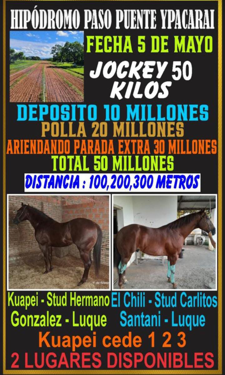 WhatsApp Image 2025-04-28 at 10.18.51