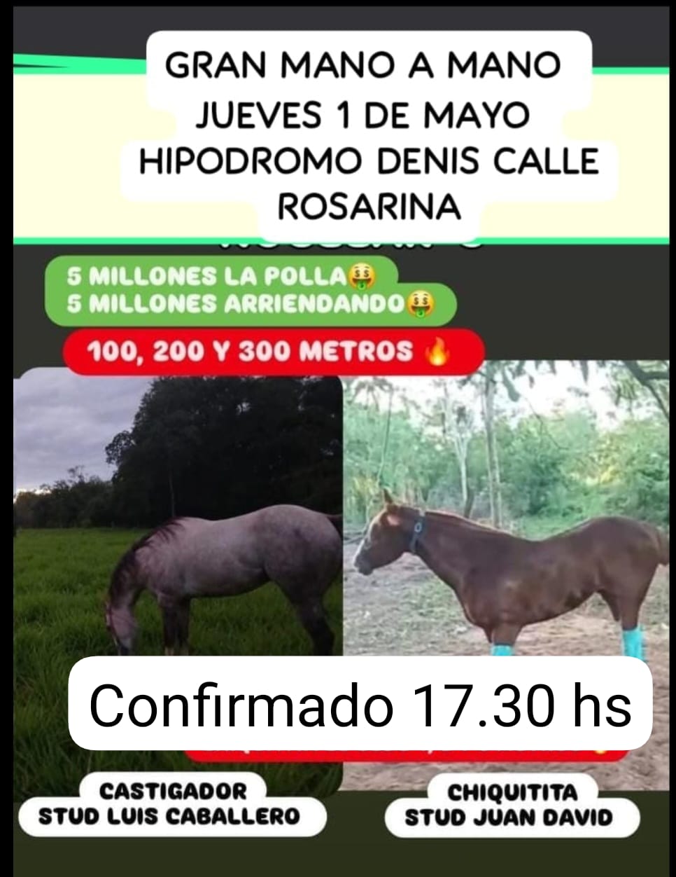 WhatsApp Image 2025-04-30 at 11.49.05