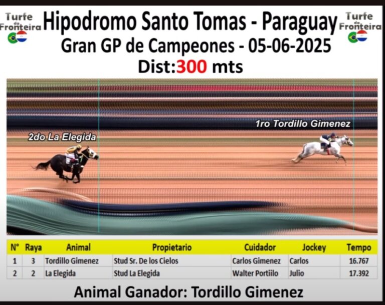 WhatsApp Image 2025-07-16 at 19.41.36