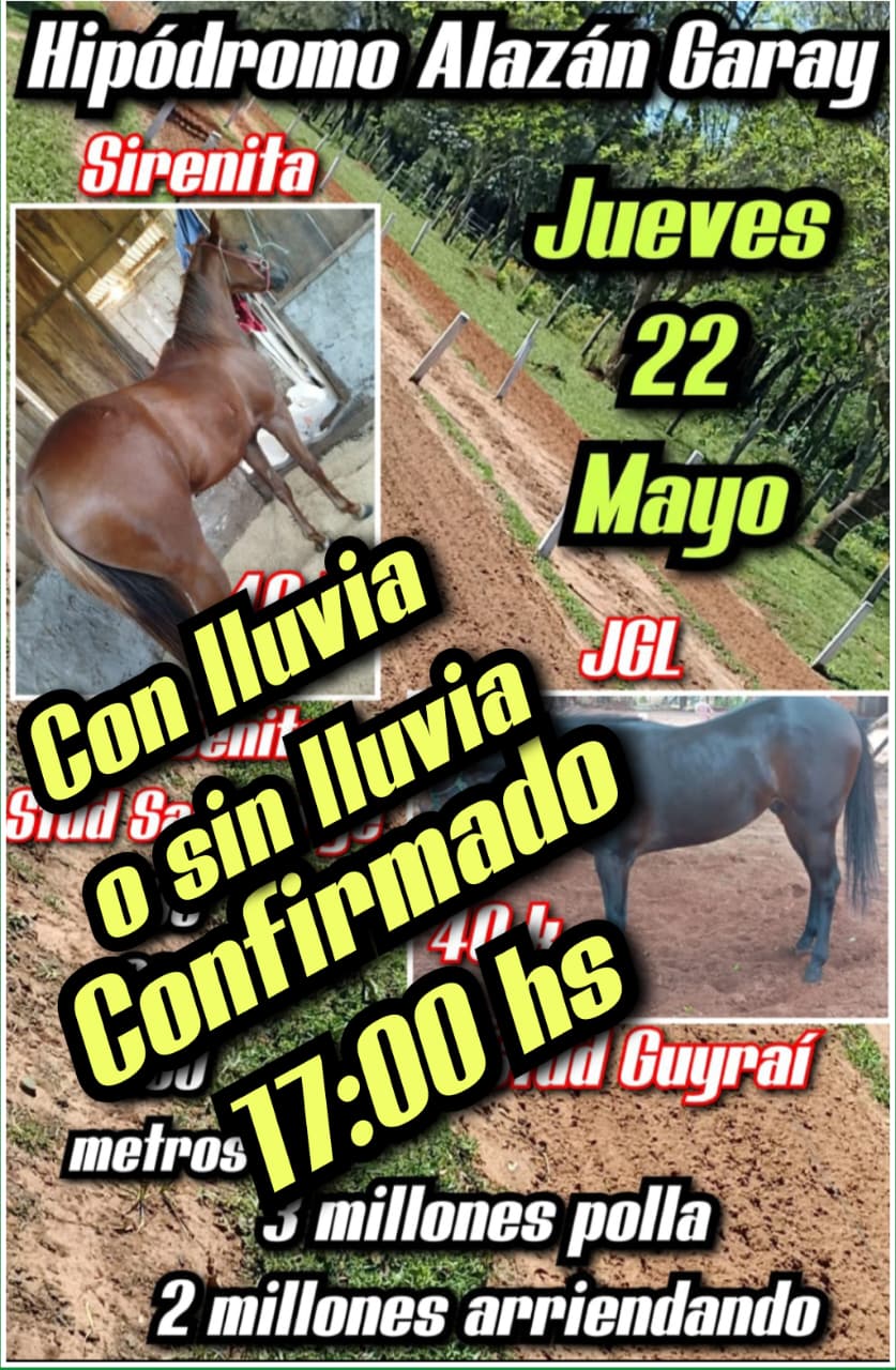 Imagen de WhatsApp 2025-05-22 a las 14.07.14_705b1f99