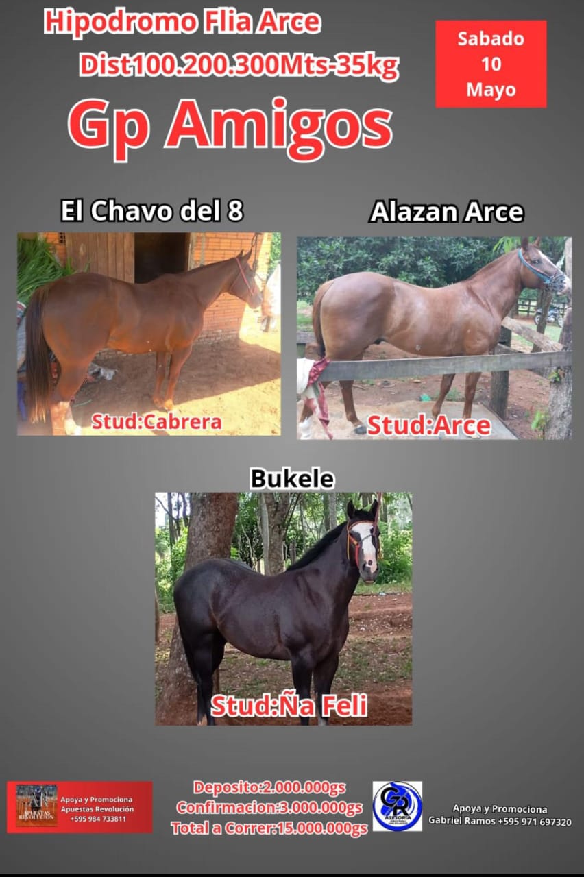 WhatsApp Image 2025-05-05 at 21.57.26