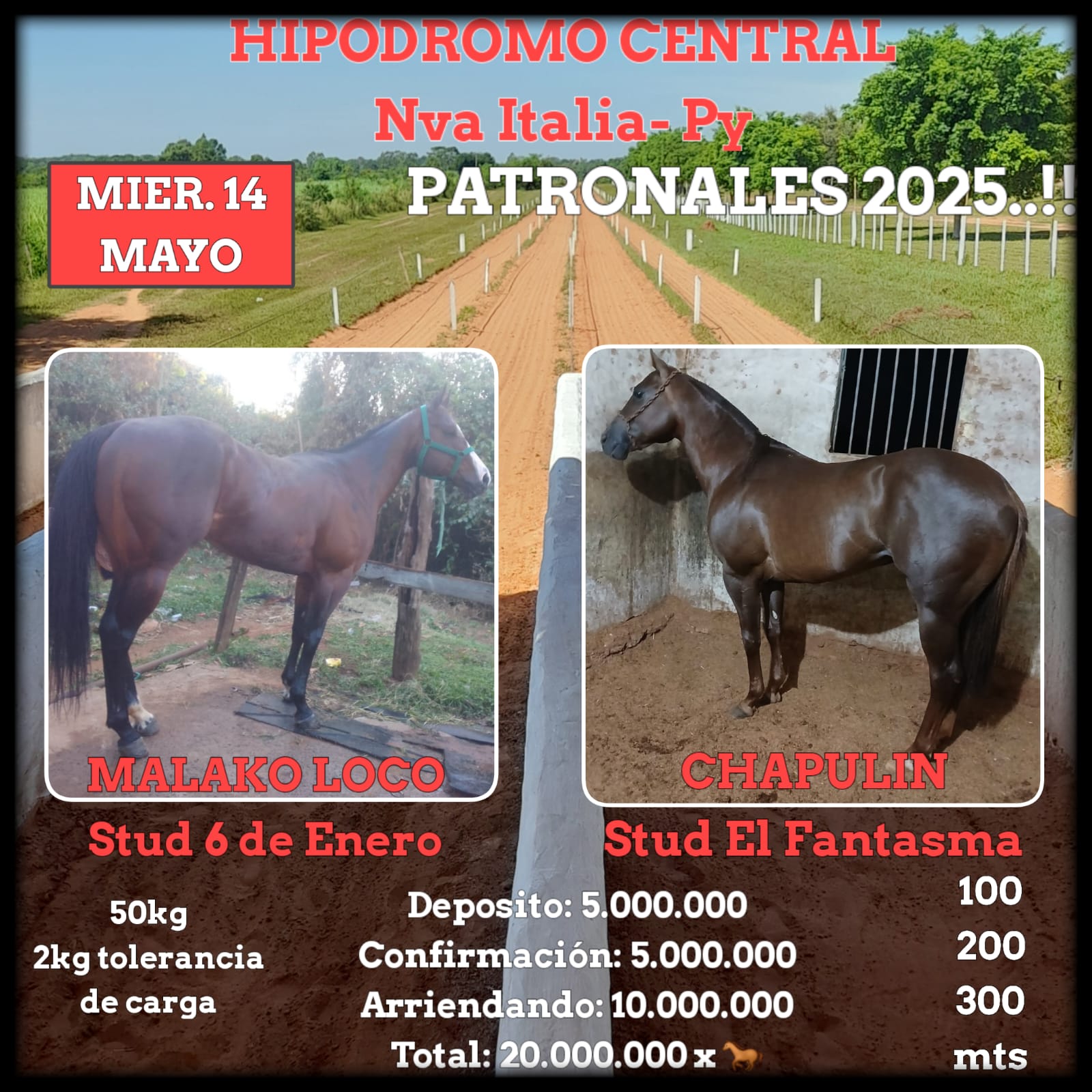 WhatsApp Image 2025-05-06 at 08.49.04