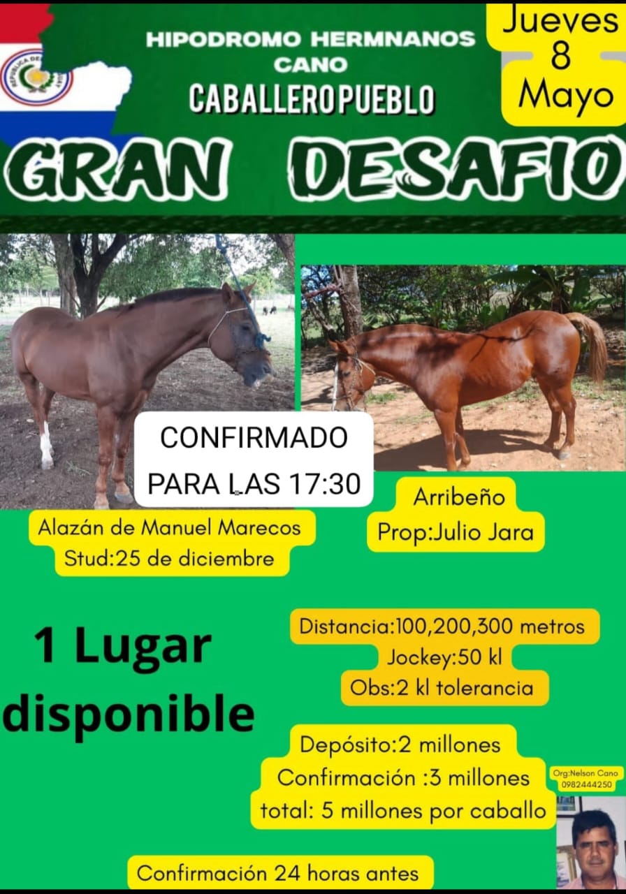 WhatsApp Image 2025-05-08 at 08.20.30