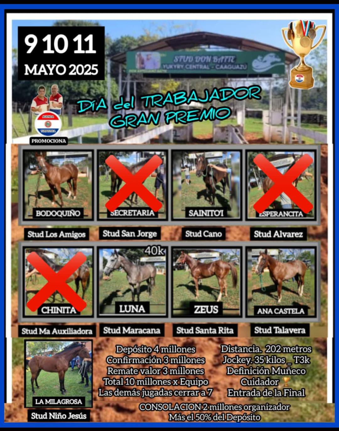 WhatsApp Image 2025-05-08 at 21.45.37