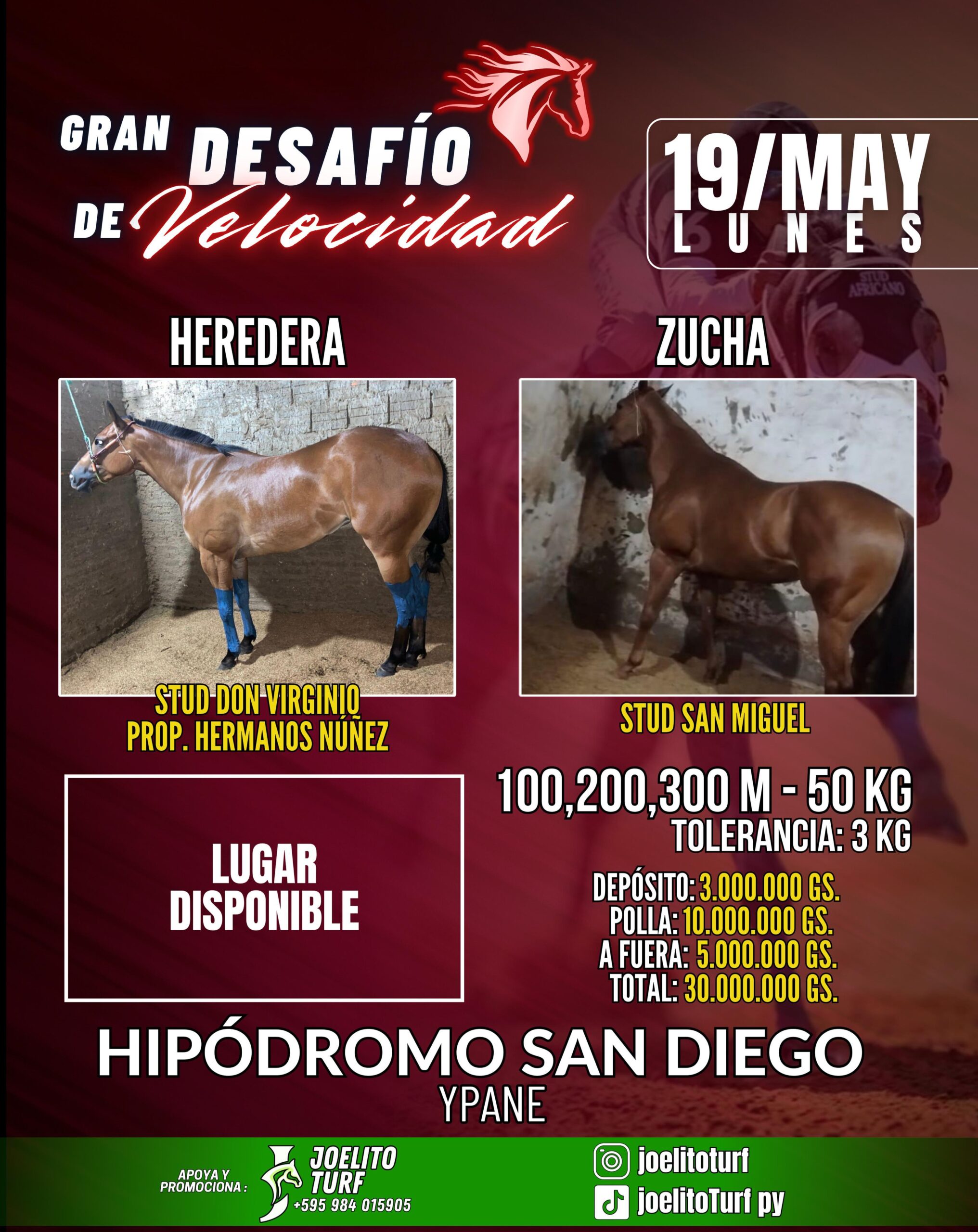 WhatsApp Image 2025-05-08 at 22.56.13