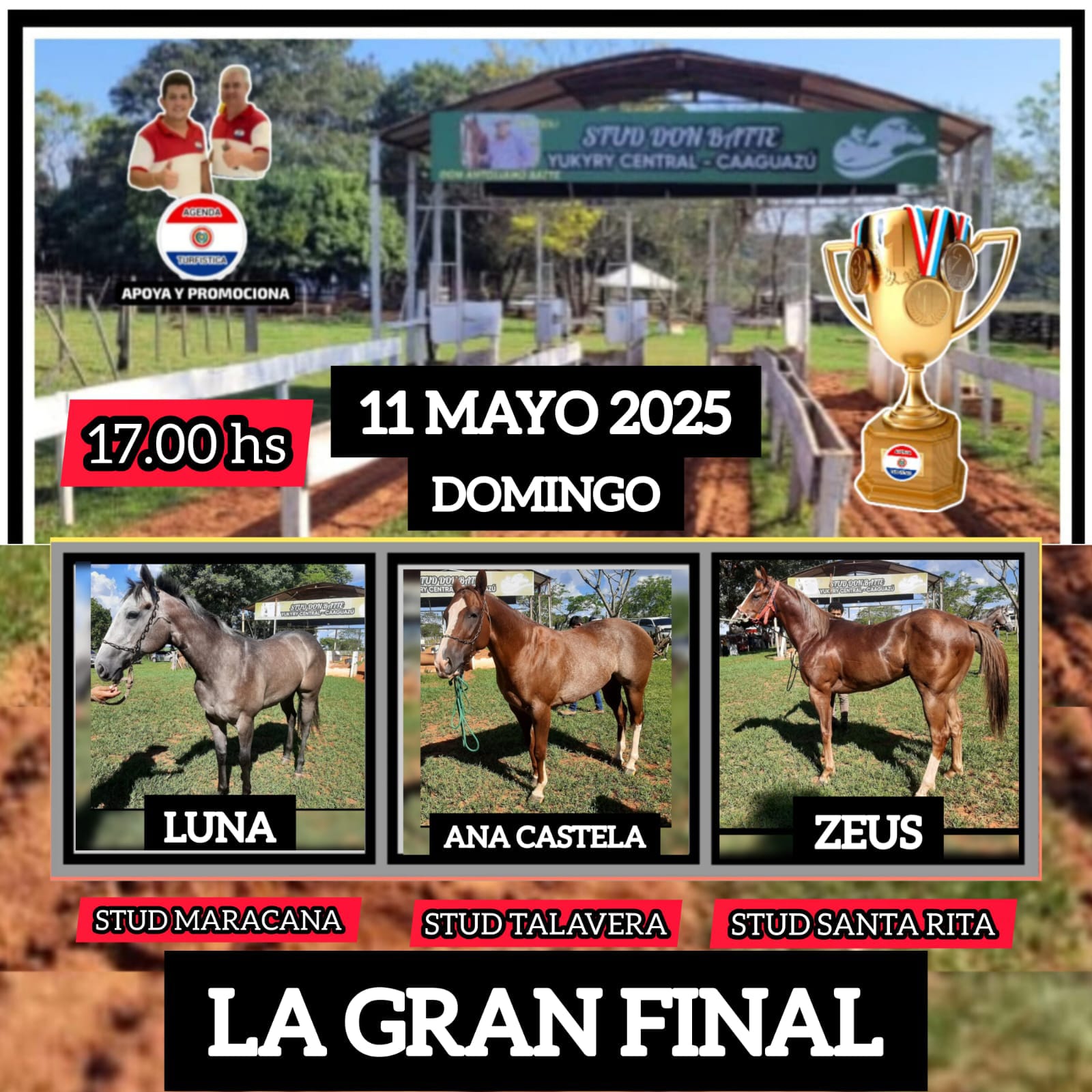 WhatsApp Image 2025-05-10 at 17.36.46