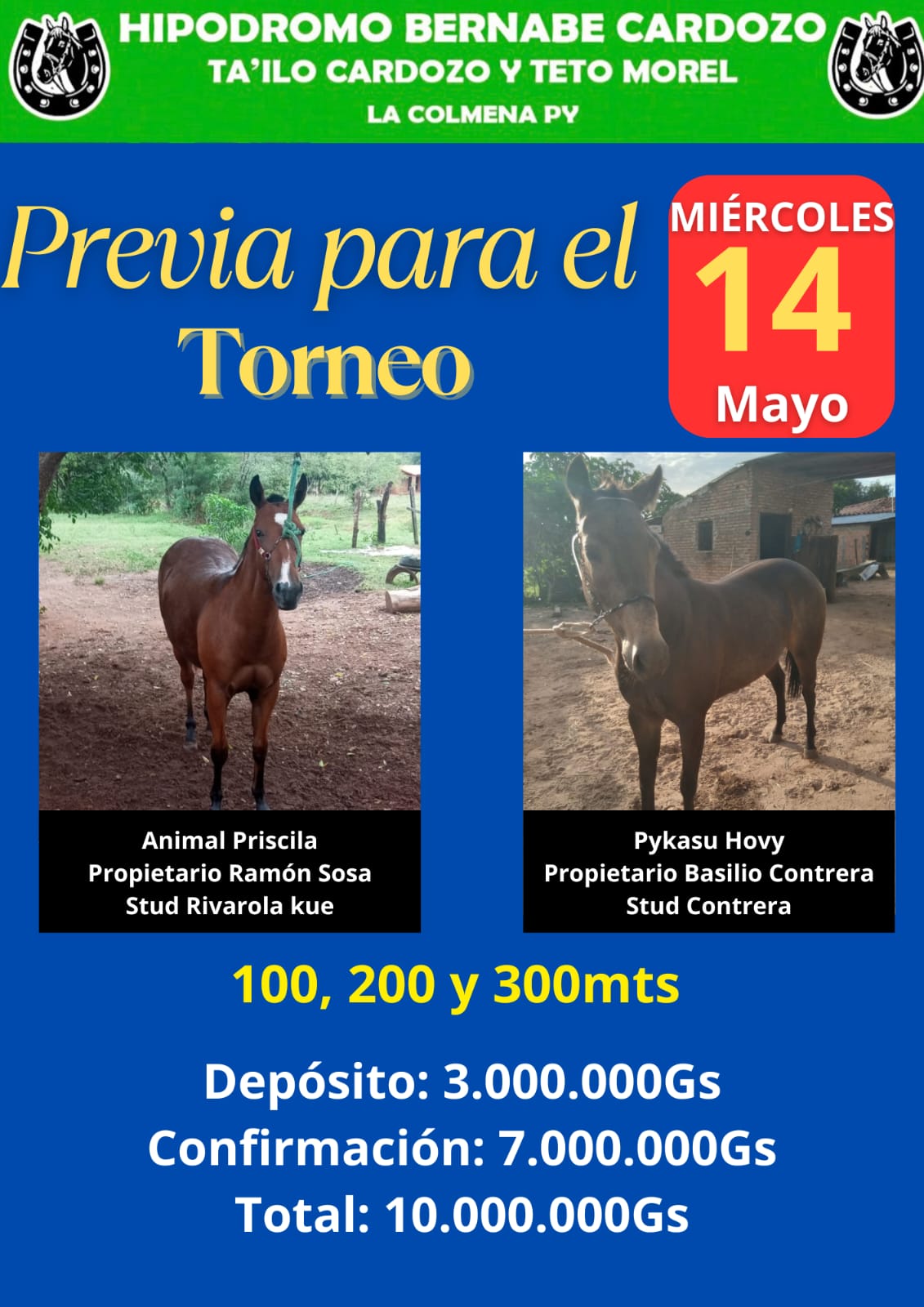 WhatsApp Image 2025-05-12 at 19.16.18