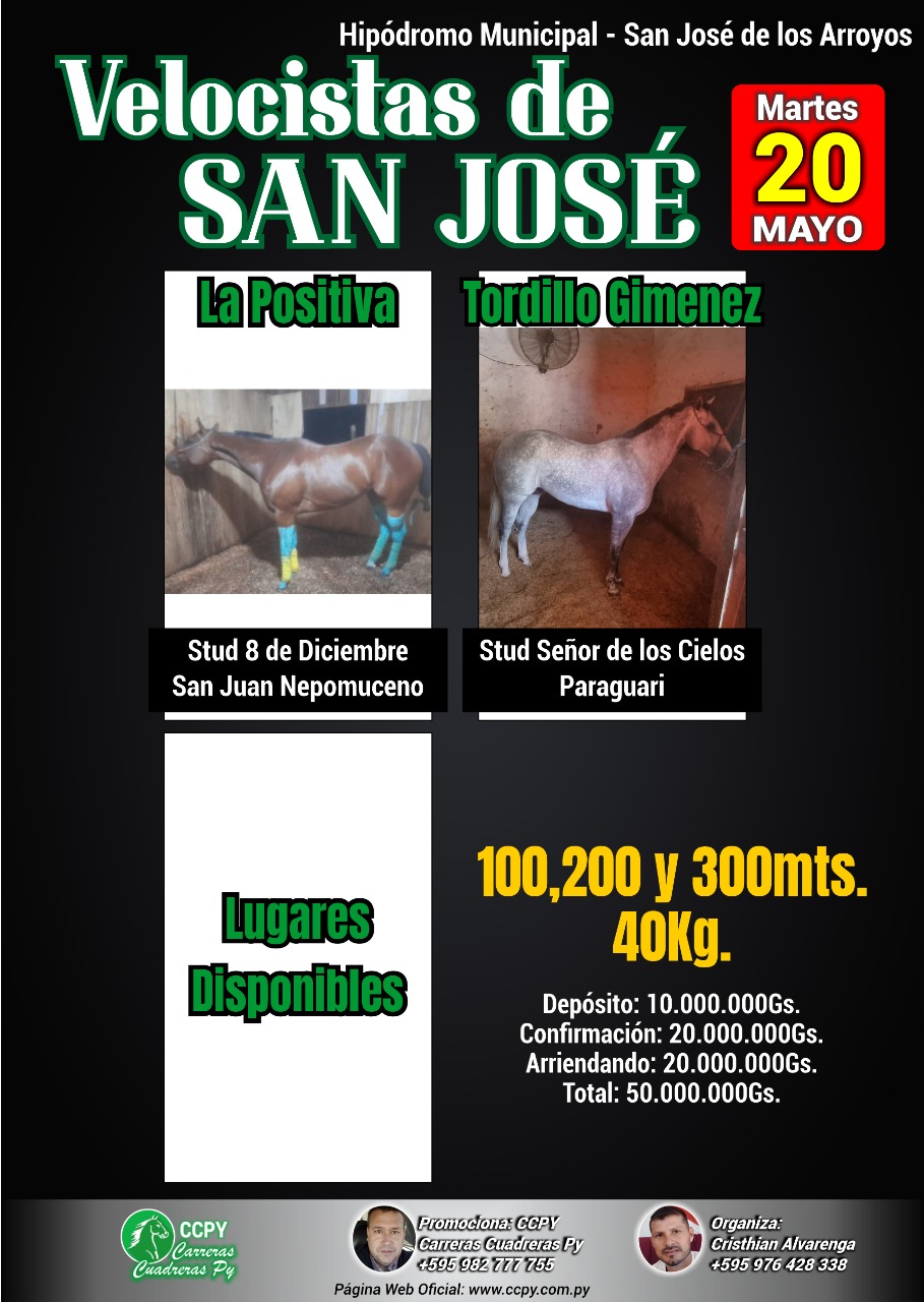 WhatsApp Image 2025-05-12 at 19.49.16