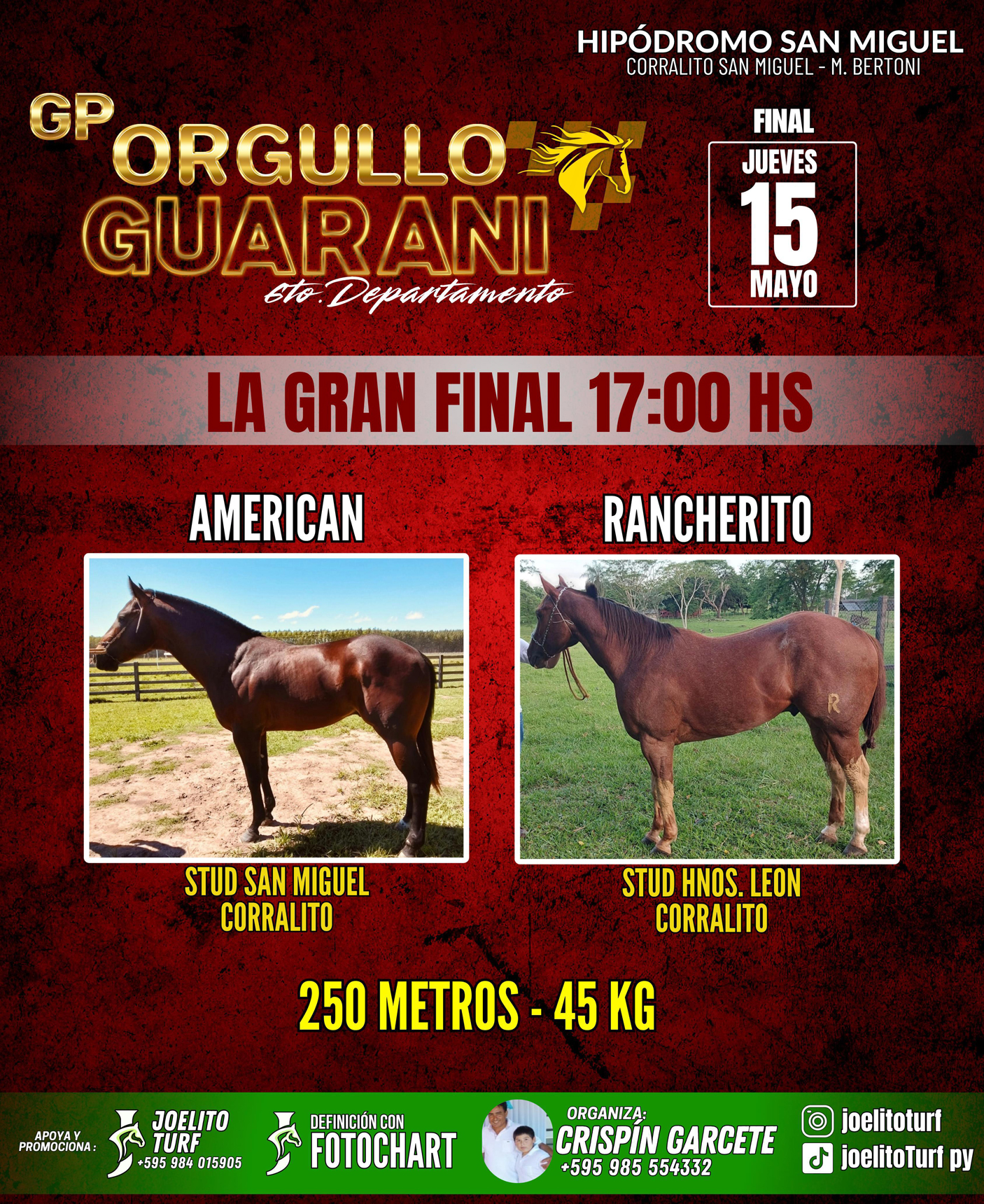 WhatsApp Image 2025-05-14 at 20.41.13 (1)