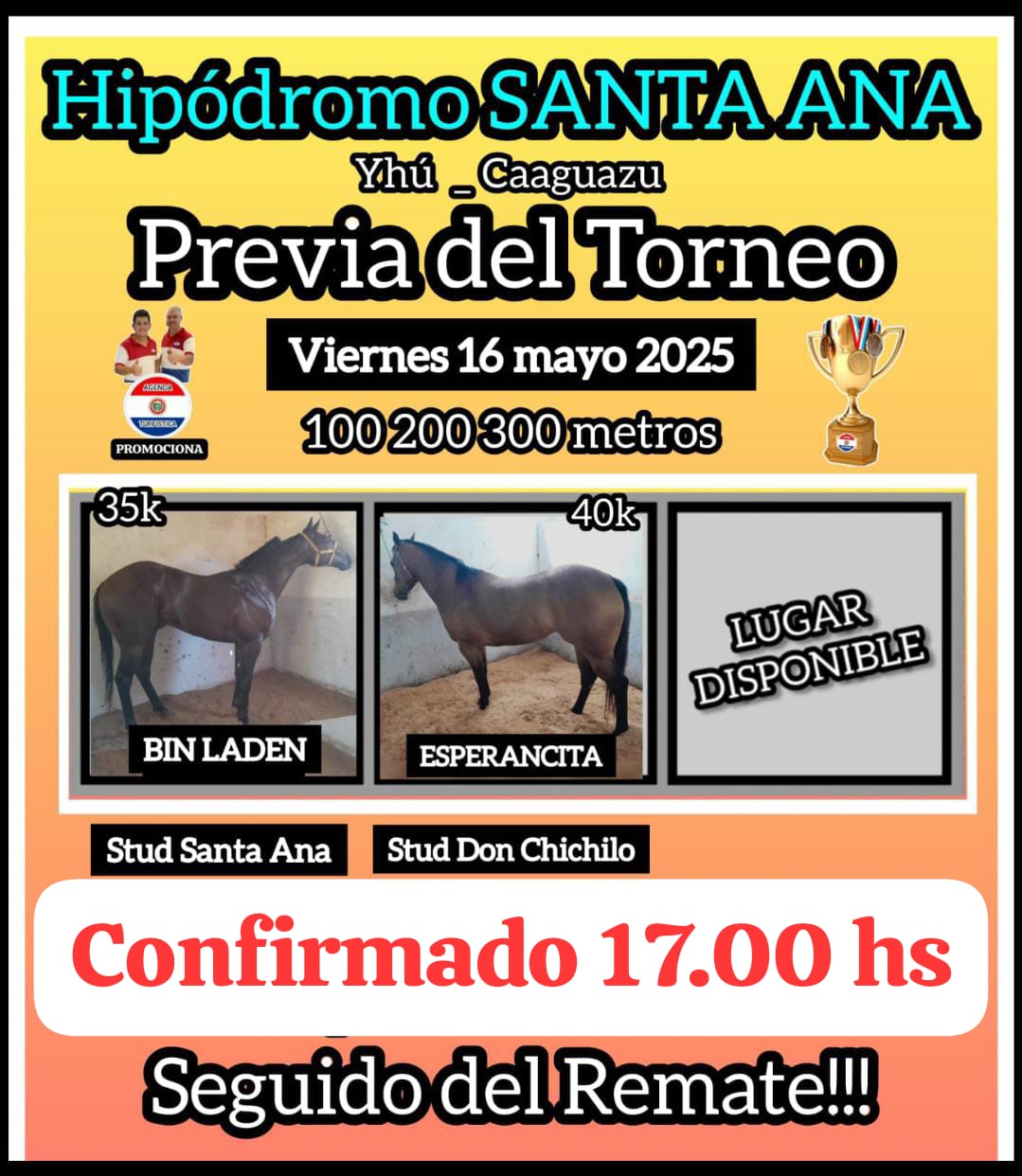 WhatsApp Image 2025-05-15 at 17.59.44 (1)