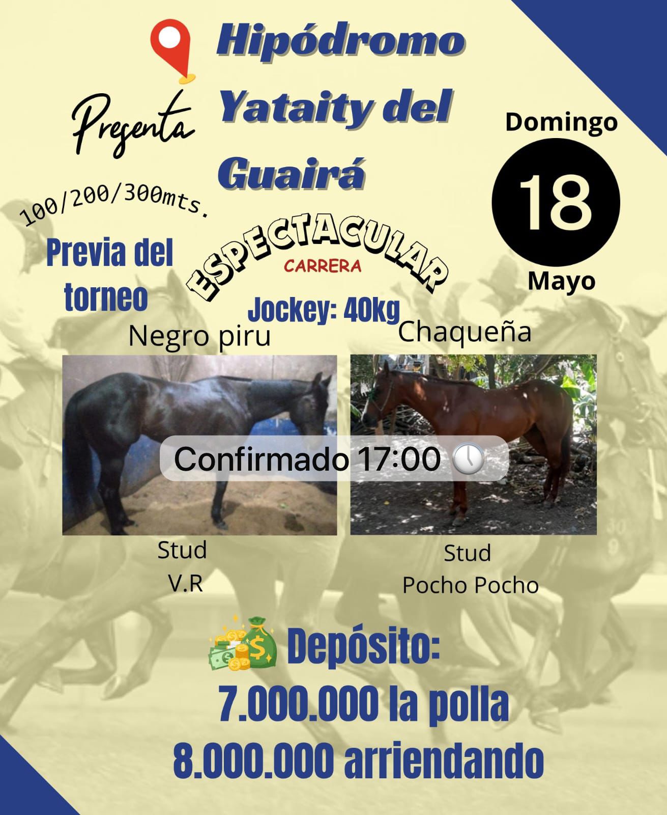 WhatsApp Image 2025-05-17 at 18.26.13