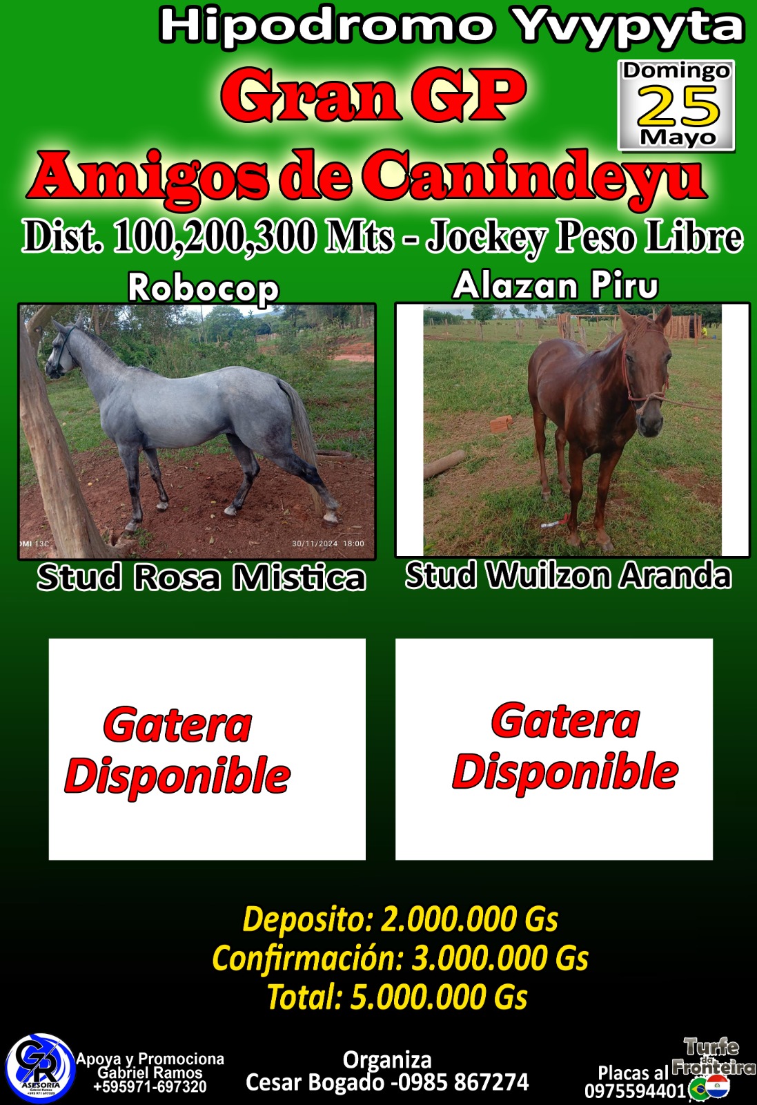 WhatsApp Image 2025-05-18 at 20.05.06