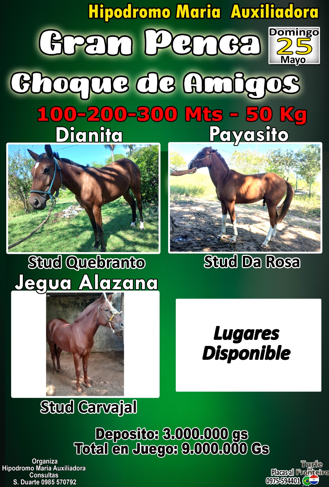 WhatsApp Image 2025-05-18 at 20.05.21