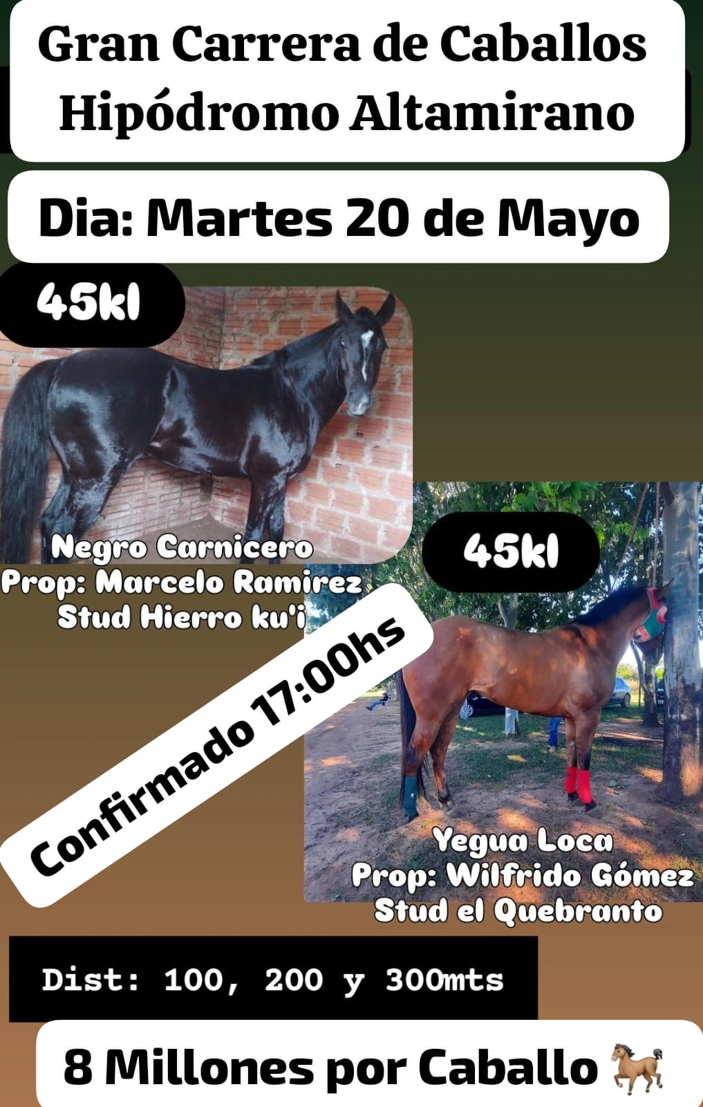 WhatsApp Image 2025-05-19 at 17.27.56