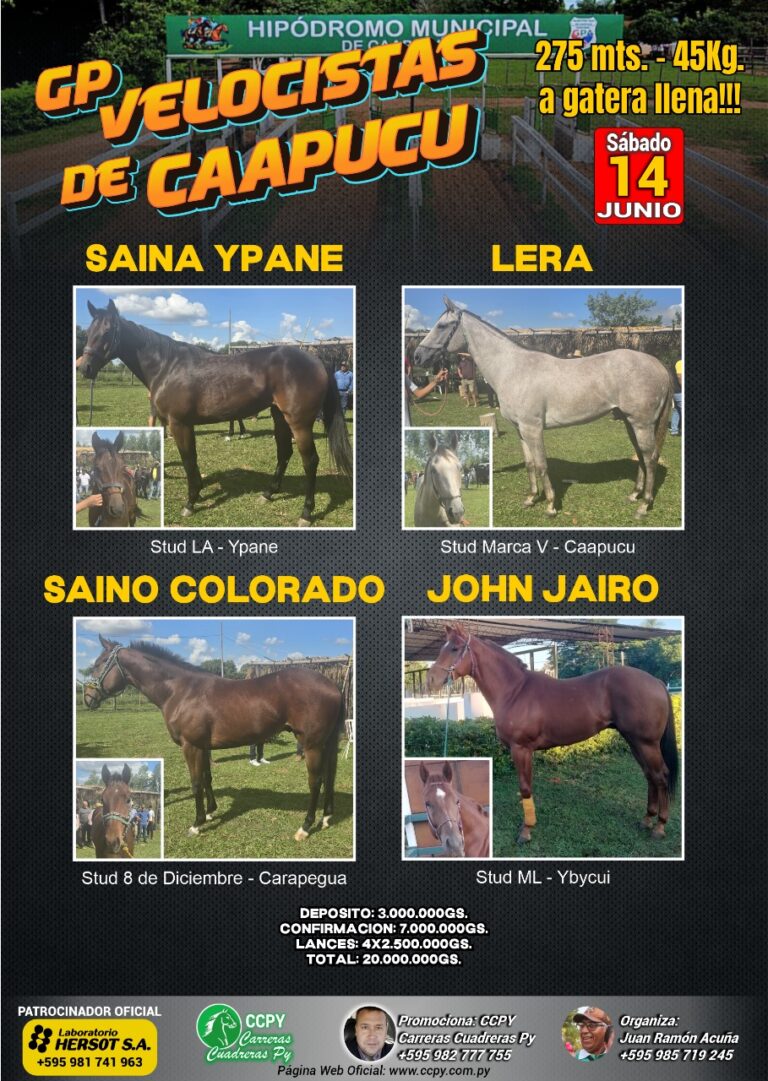 WhatsApp Image 2025-05-23 at 08.41.28