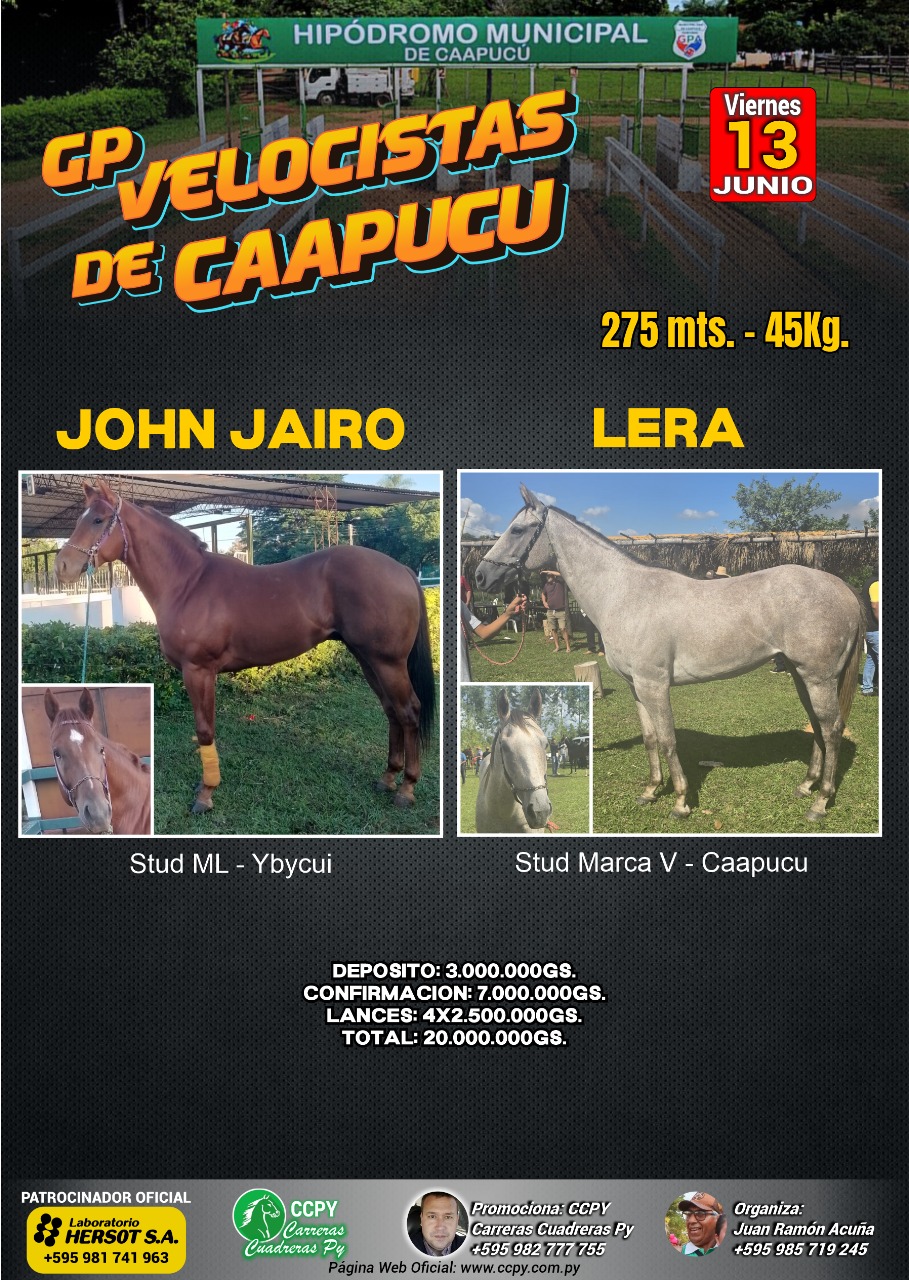 WhatsApp Image 2025-06-10 at 19.06.54