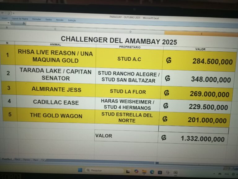 WhatsApp Image 2025-11-01 at 00.00.52