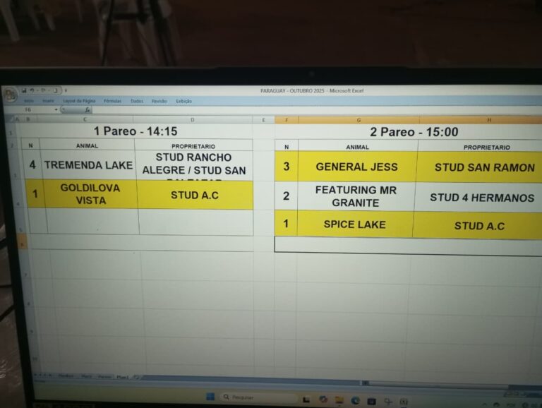 WhatsApp Image 2025-11-01 at 09.02.16 (1)