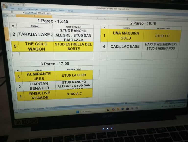 WhatsApp Image 2025-11-01 at 09.02.55