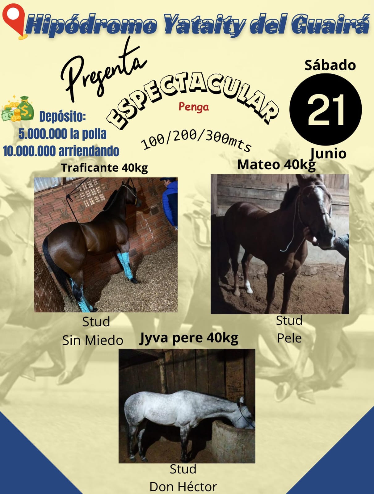 WhatsApp Image 2025-06-10 at 20.16.10 (1)