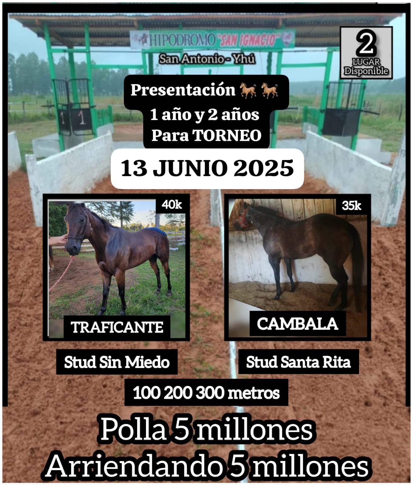 WhatsApp Image 2025-06-10 at 20.16.10