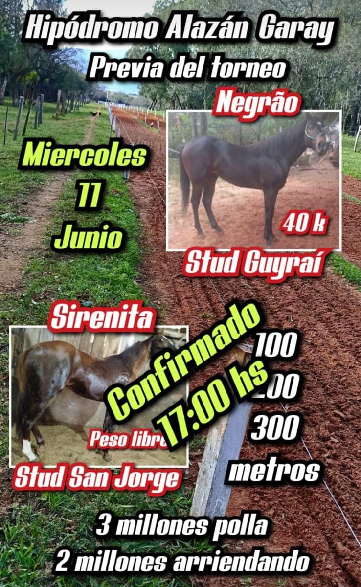 WhatsApp Image 2025-06-11 at 11.42.14