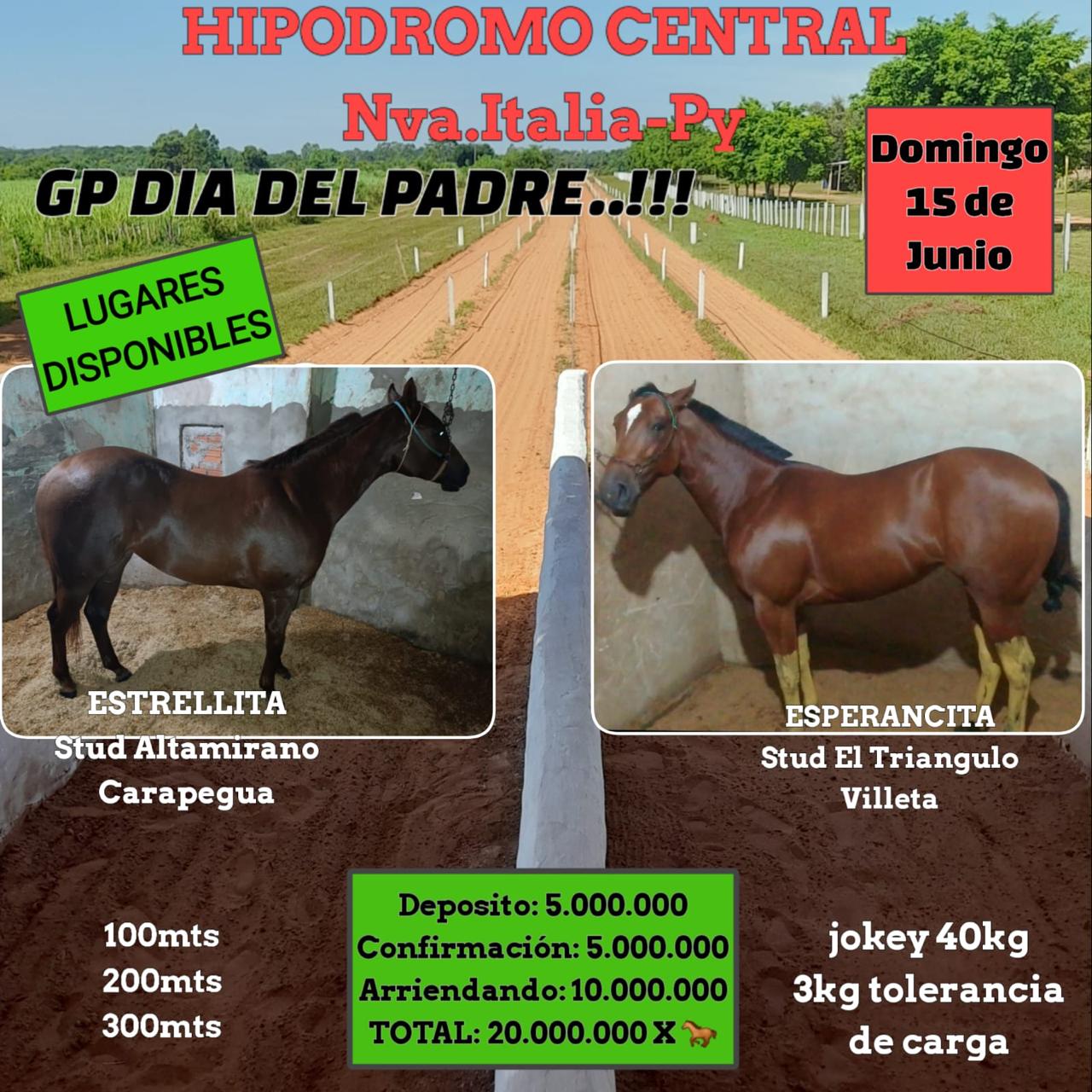 WhatsApp Image 2025-06-11 at 12.00.11