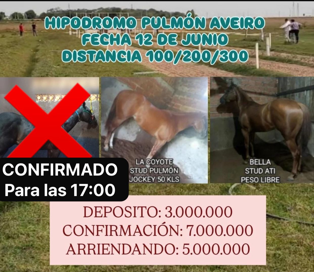 WhatsApp Image 2025-06-11 at 15.43.25