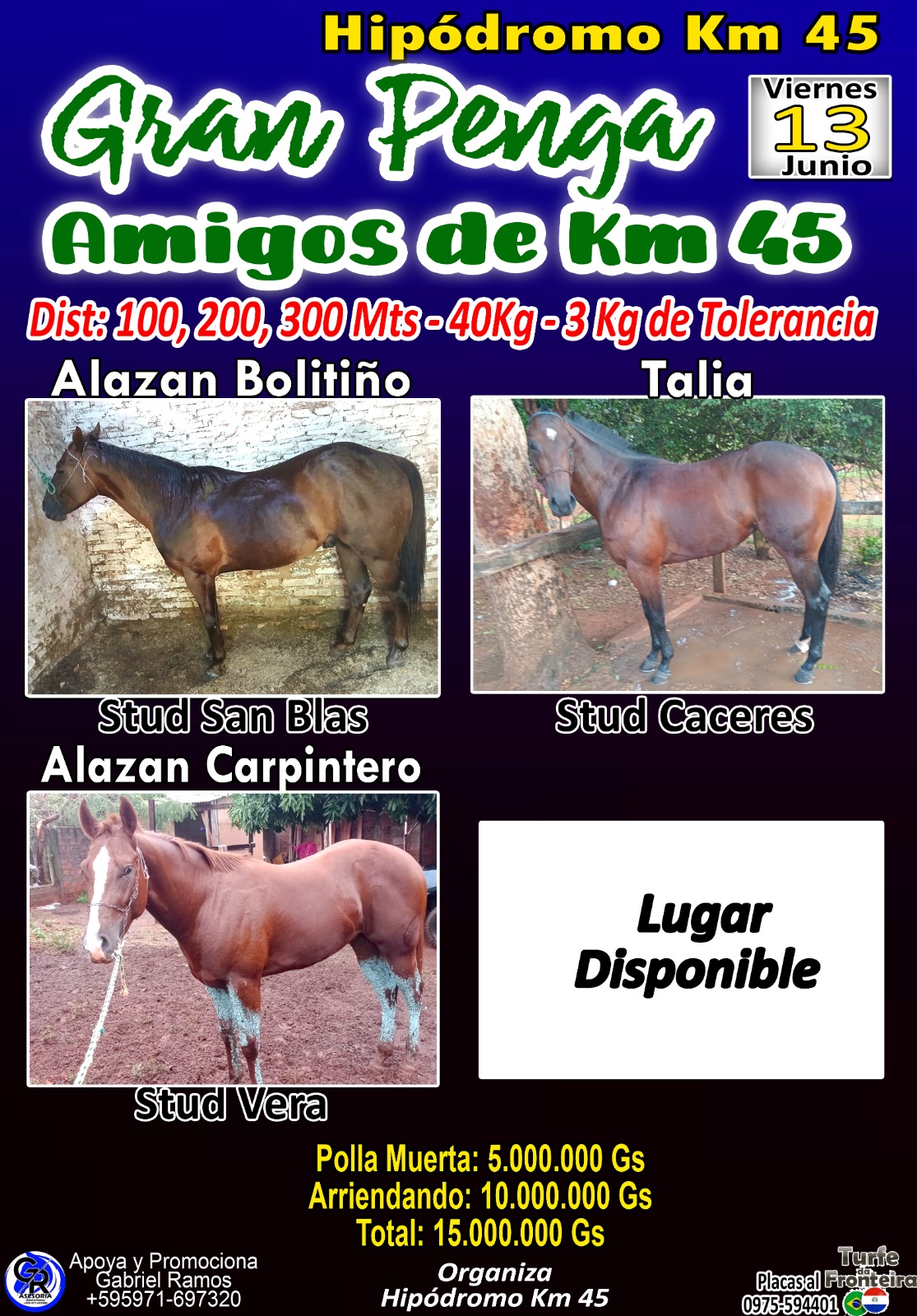 WhatsApp Image 2025-06-11 at 19.41.14