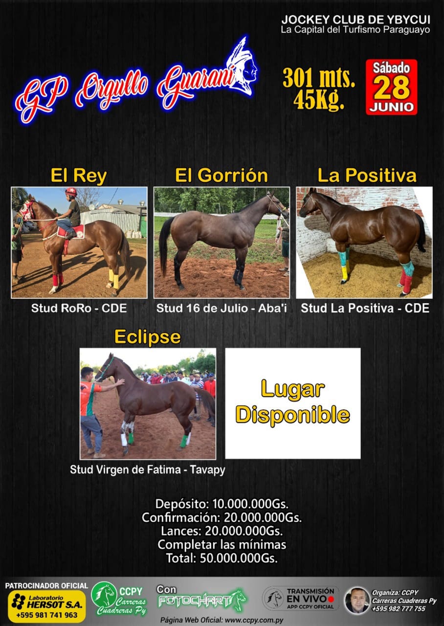 WhatsApp Image 2025-06-12 at 20.38.32