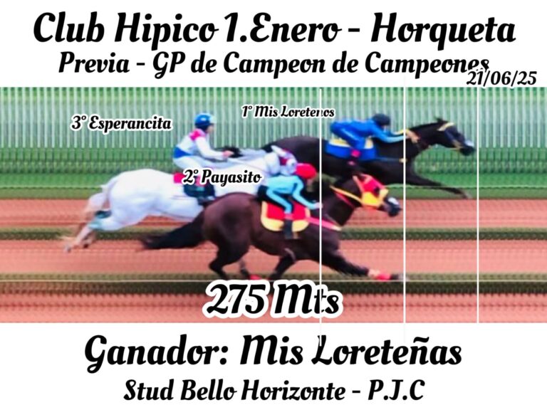 WhatsApp Image 2025-06-21 at 17.47.32