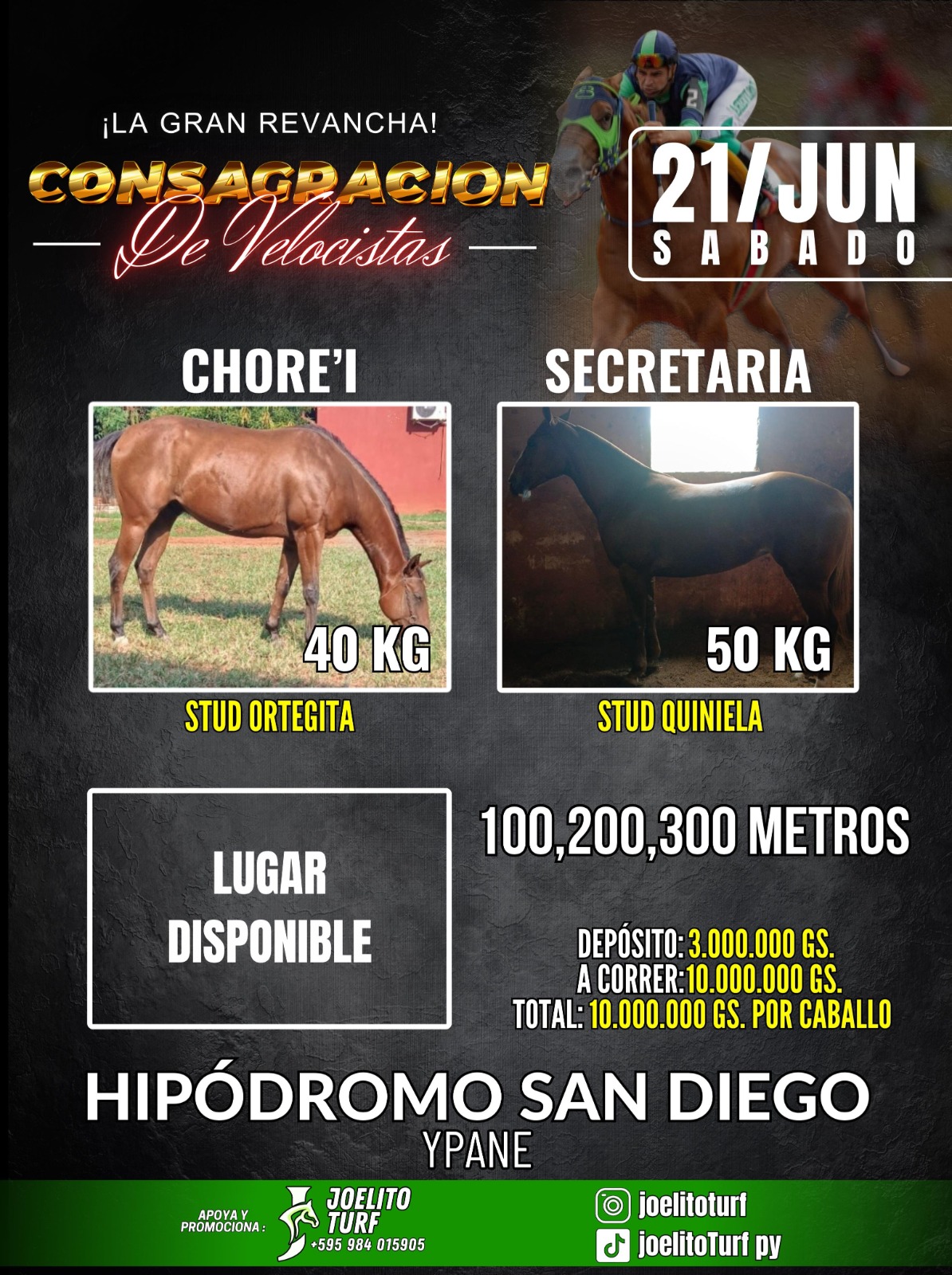 WhatsApp Image 2025-06-21 at 19.37.16