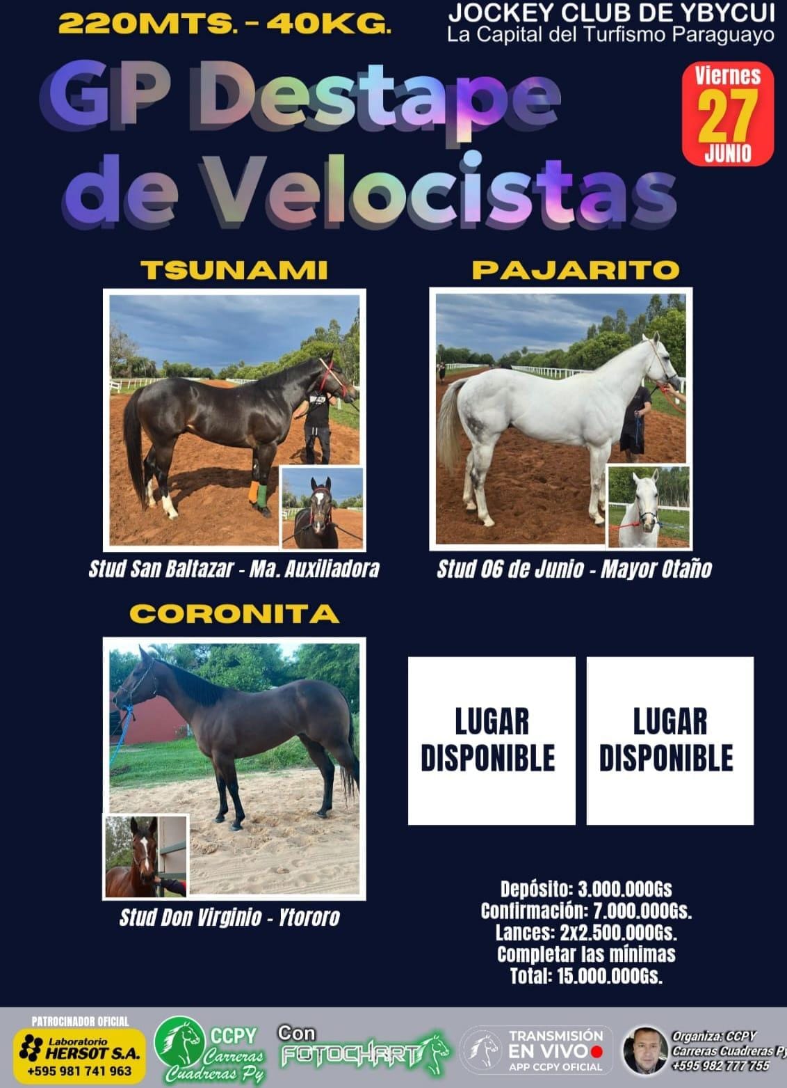 WhatsApp Image 2025-06-23 at 21.54.24