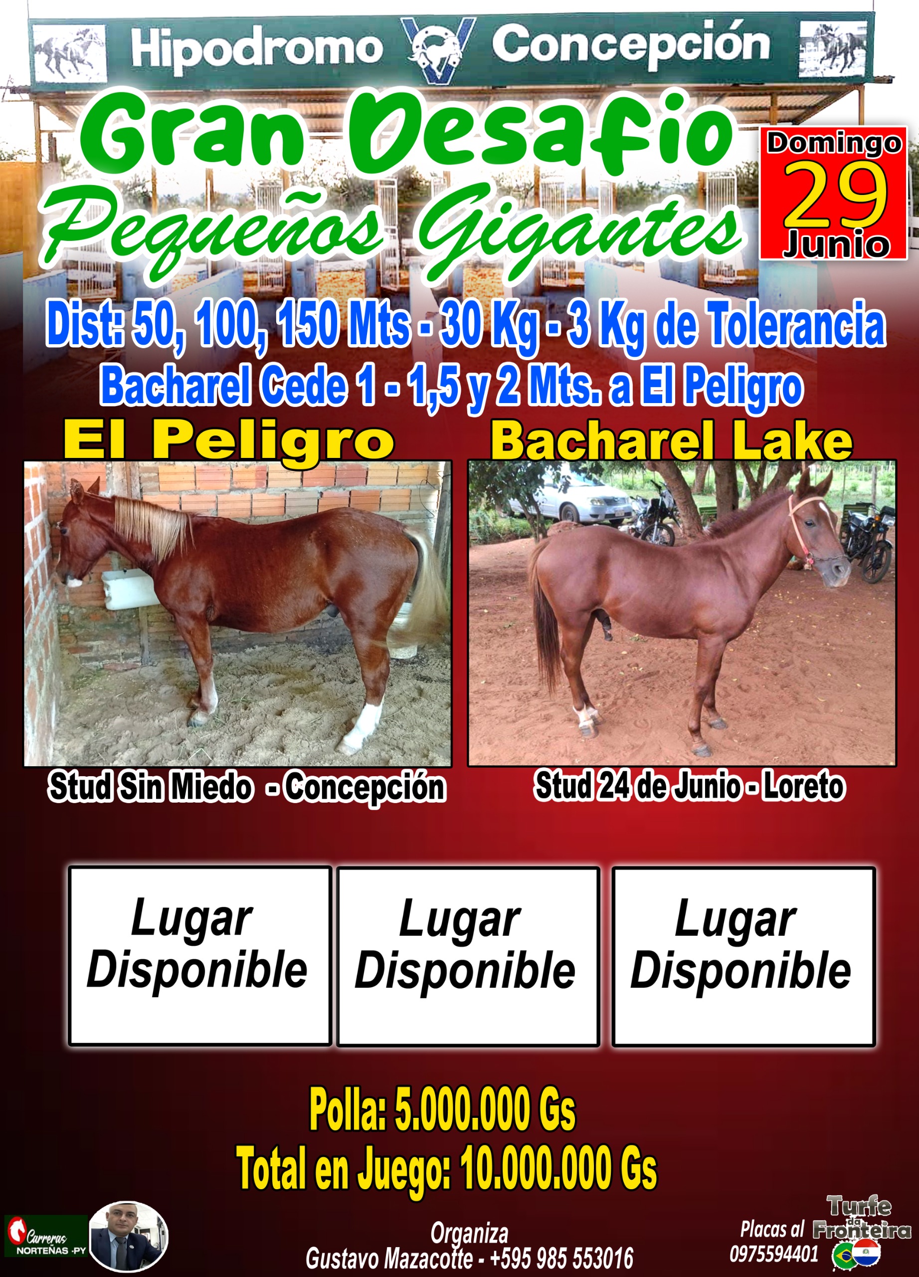 WhatsApp Image 2025-06-24 at 09.34.48 (2)