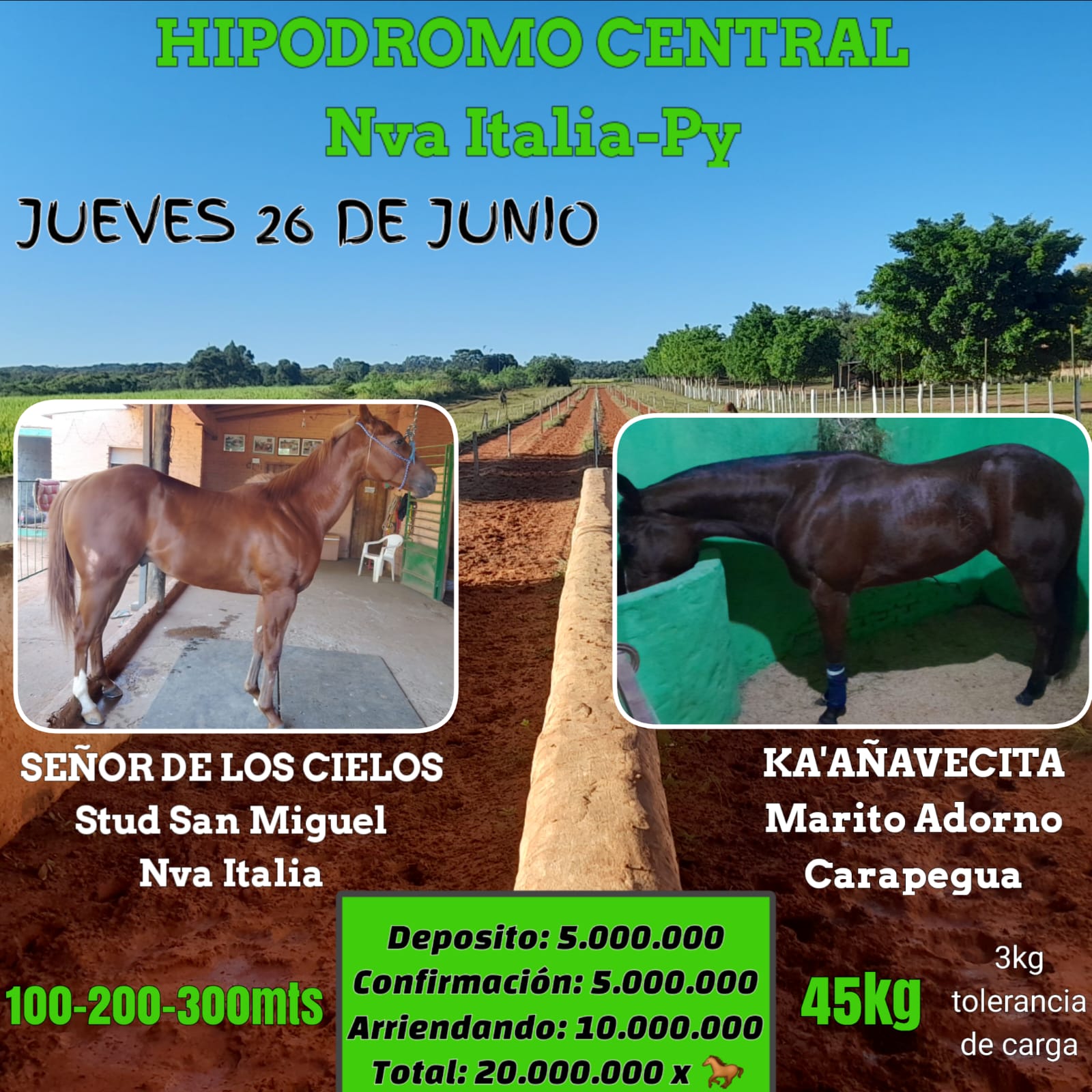 WhatsApp Image 2025-06-25 at 09.27.37 (2)