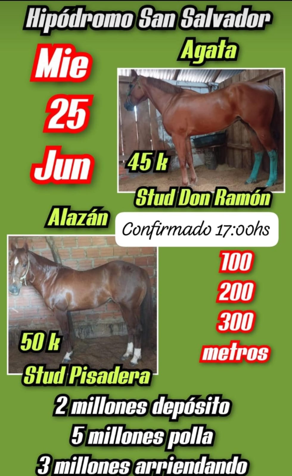 WhatsApp Image 2025-06-25 at 10.24.13 (1)