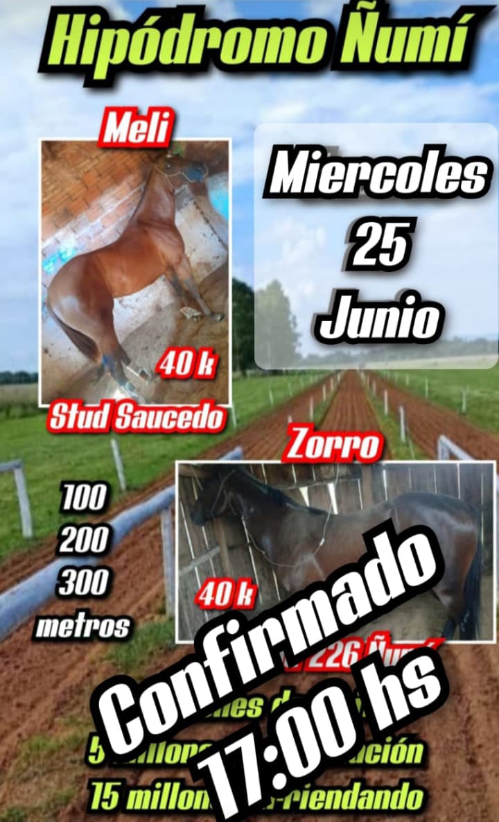 WhatsApp Image 2025-06-25 at 10.28.31