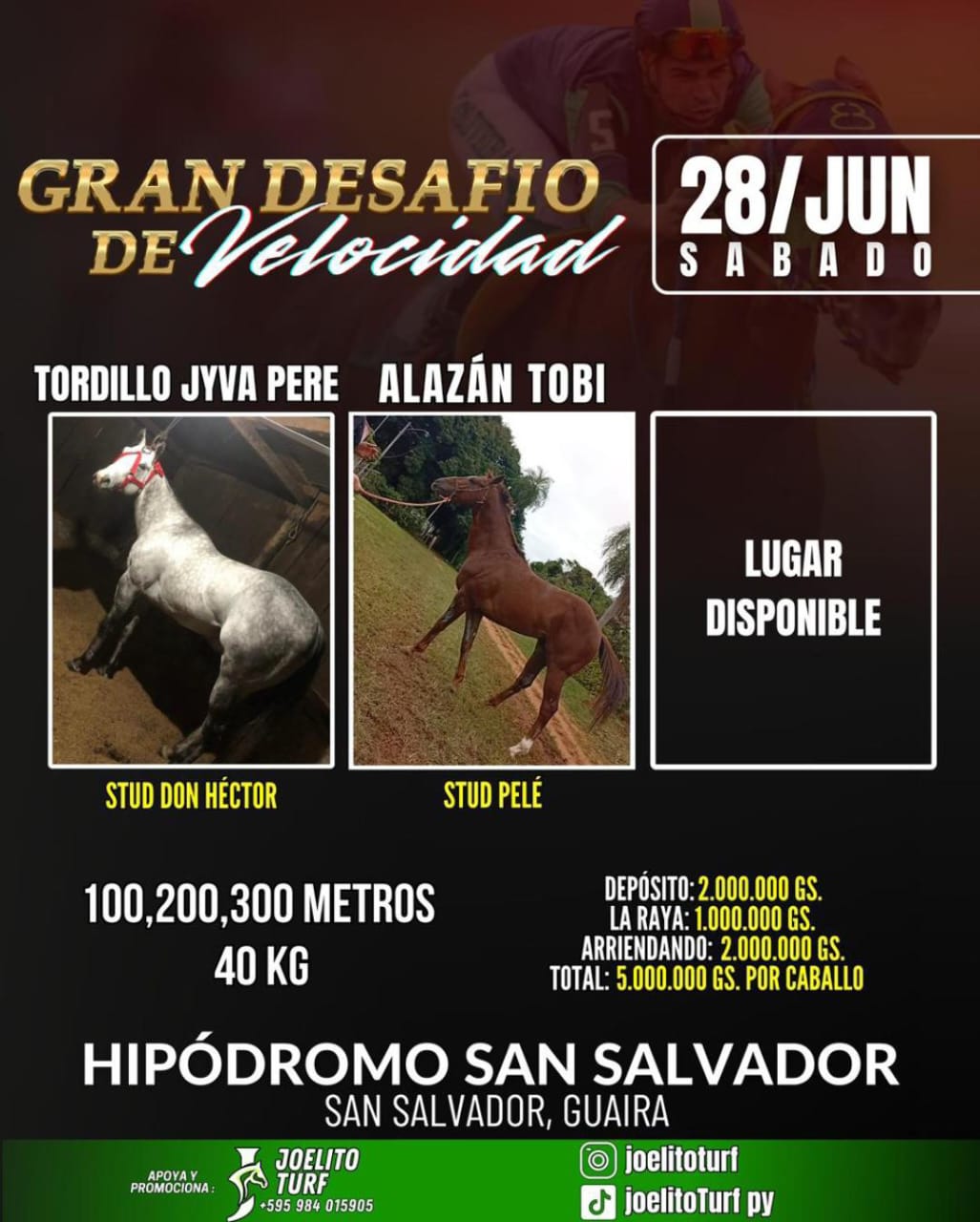 WhatsApp Image 2025-06-25 at 15.29.49