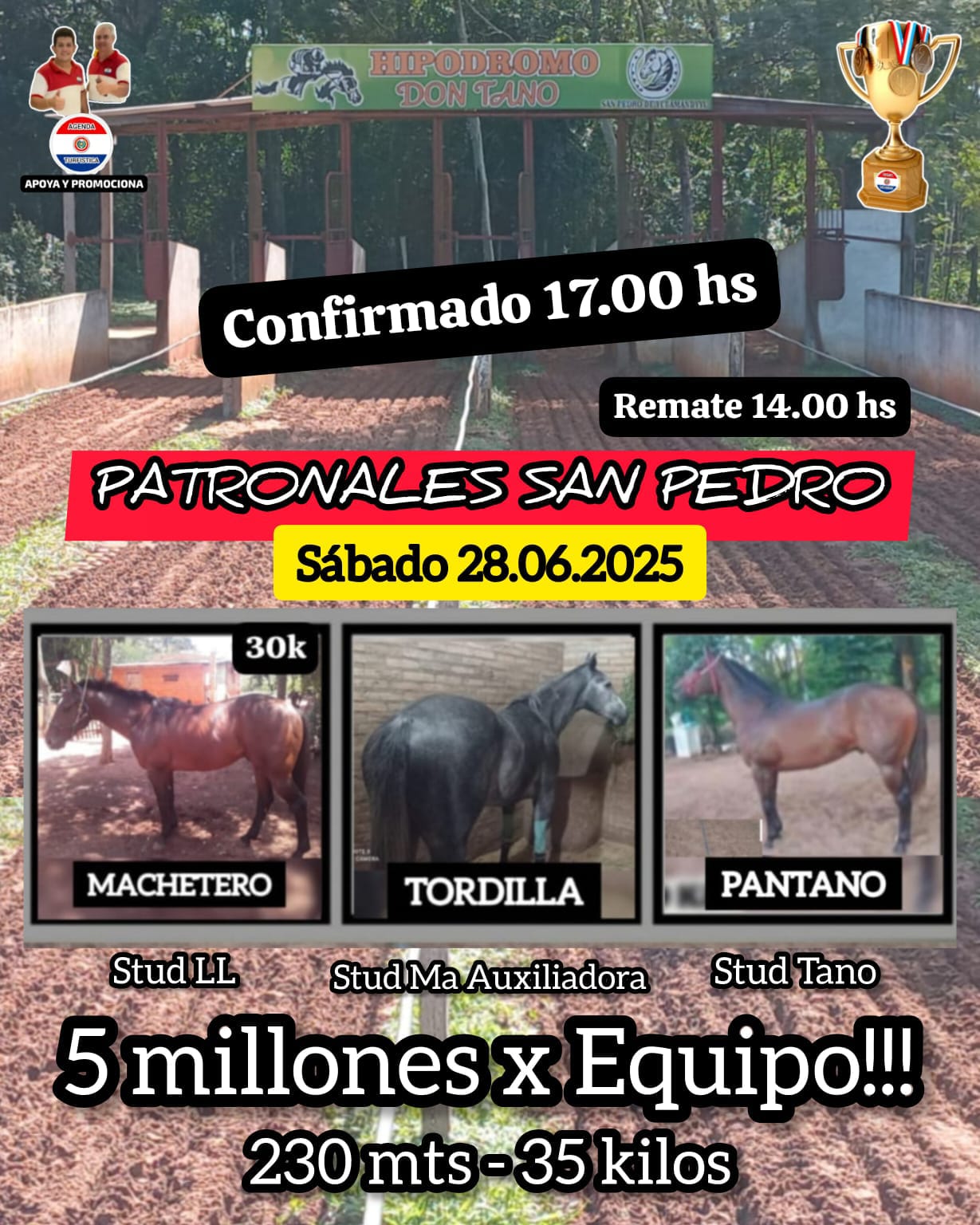 WhatsApp Image 2025-06-27 at 19.24.39