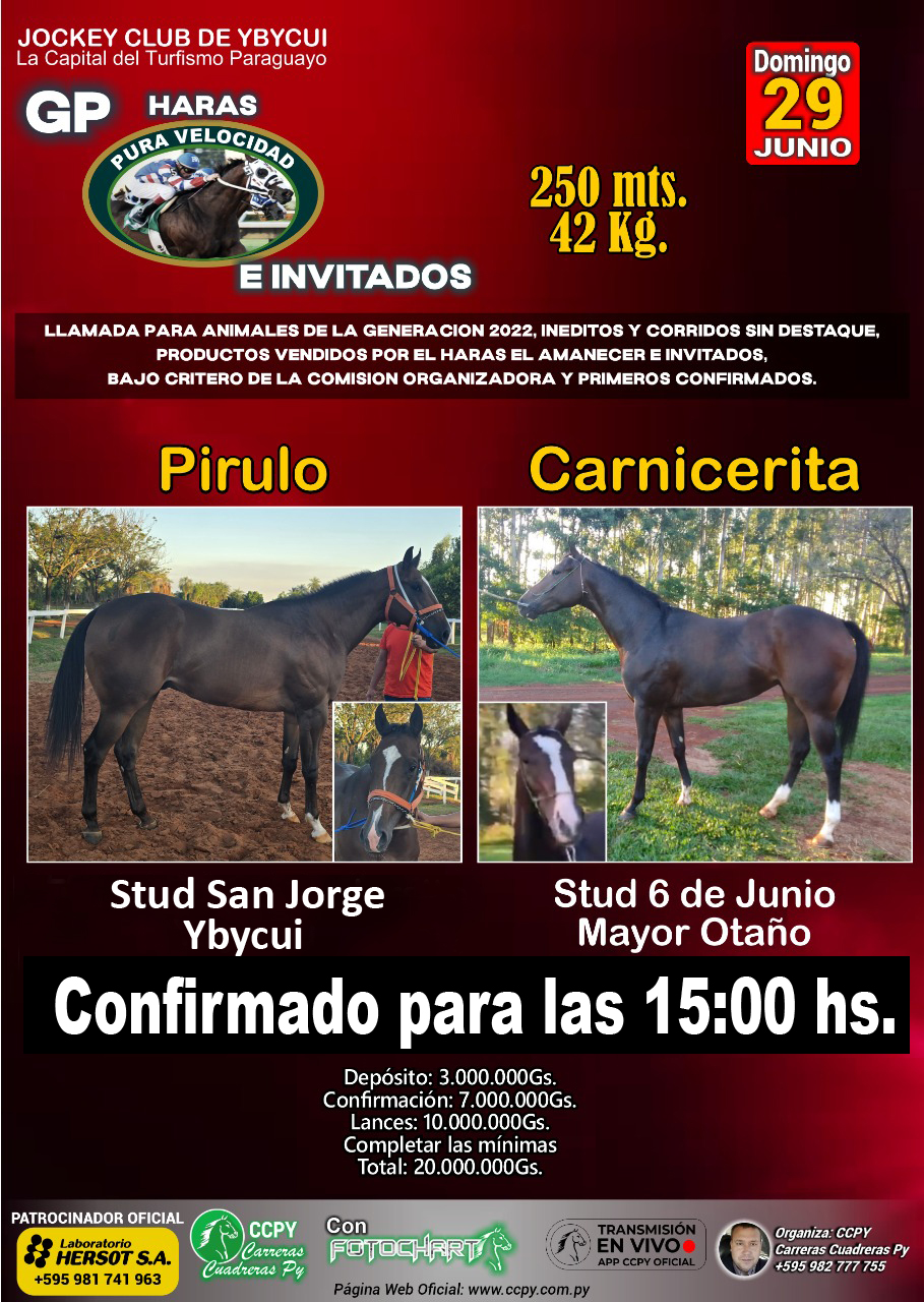 WhatsApp Image 2025-06-28 at 16.22.25