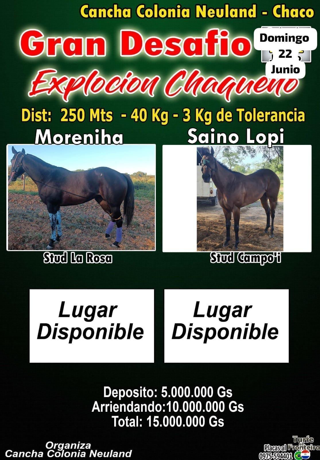 f1986264-8303-4cb3-a33b-c6adec442a69