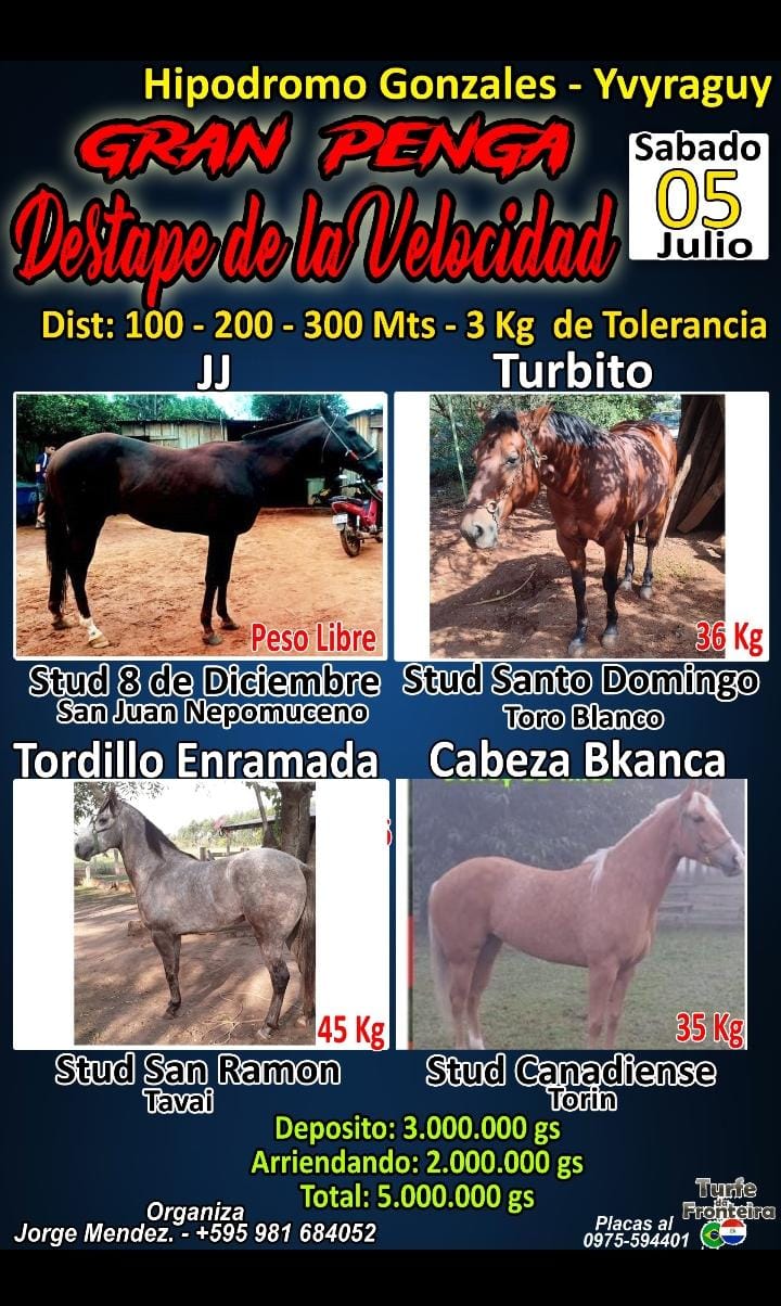 WhatsApp Image 2025-07-04 at 12.02.45